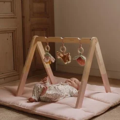 Little Dutch Babygym - Pink - Fairy Garden New