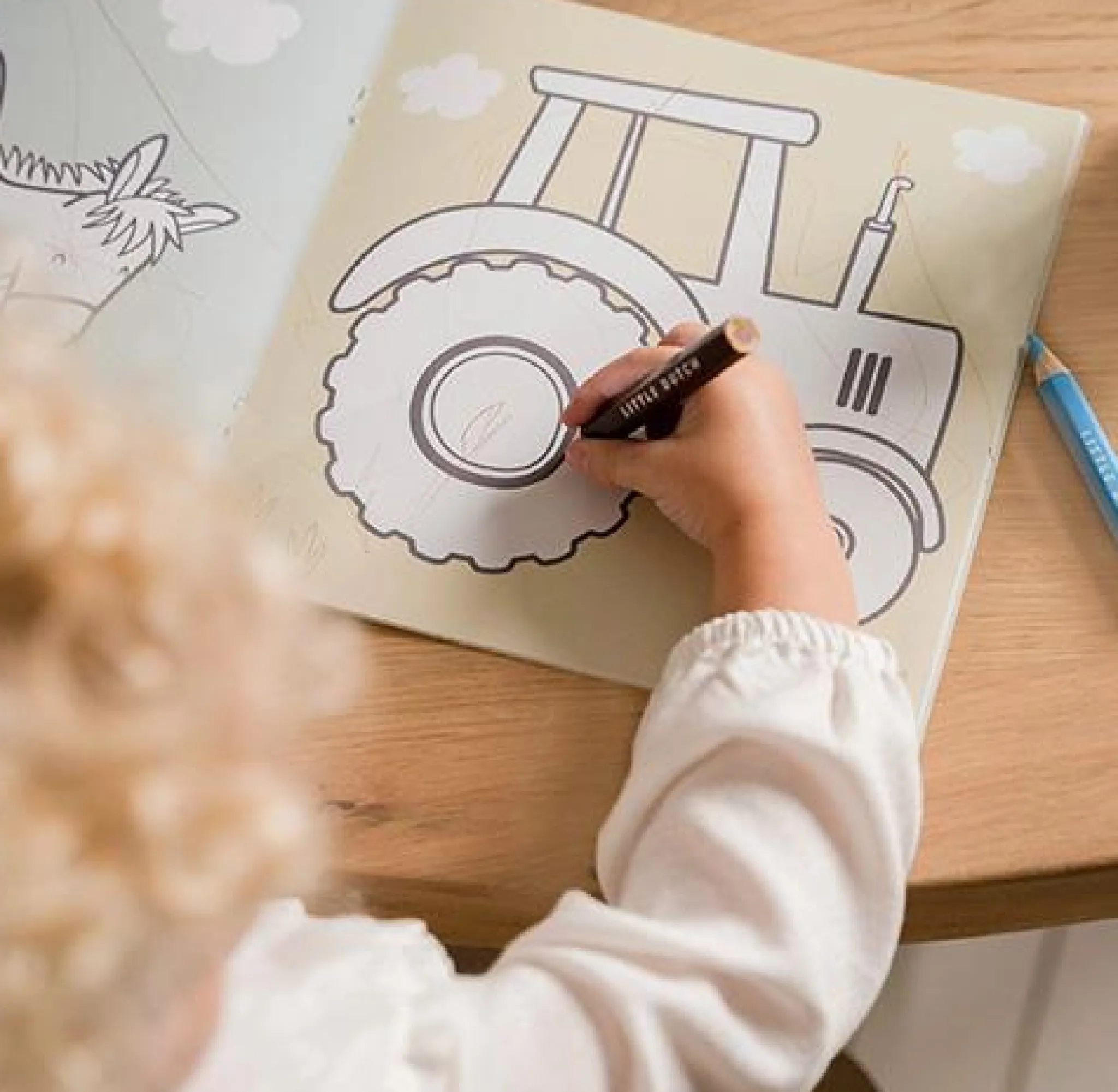 Little Dutch Coloring book Little Farm Best