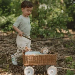 Little Dutch Forest Friends - Blue - Forest Friends Discount