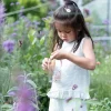 Little Dutch Insect jar - Pink - Fairy Garden Hot