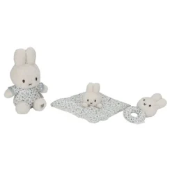 Little Dutch miffy gift box - Blue - Lucky Leaves New