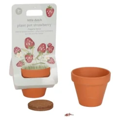 Little Dutch Plant pot - Strawberry Outlet