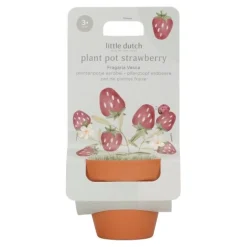 Little Dutch Plant pot - Strawberry Outlet