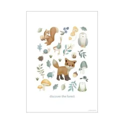 Little Dutch Poster - Size A3 - Forest Friends - Forest Wonders Sale