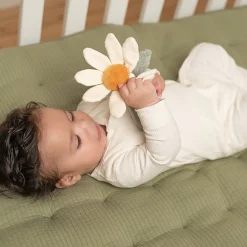 Little Dutch Rattle flower Little Farm Clearance