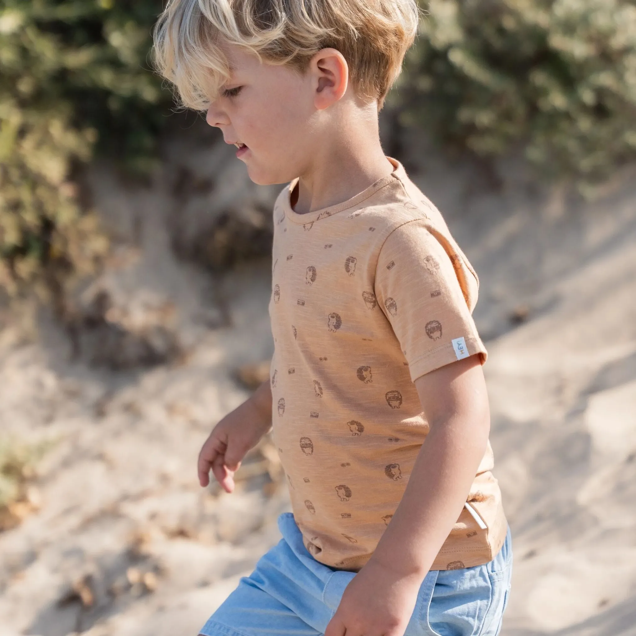 Little Dutch Shirt short sleeve - Brown